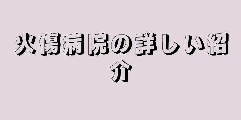 火傷病院の詳しい紹介