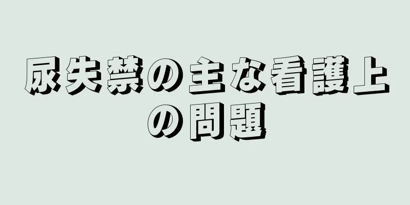 尿失禁の主な看護上の問題