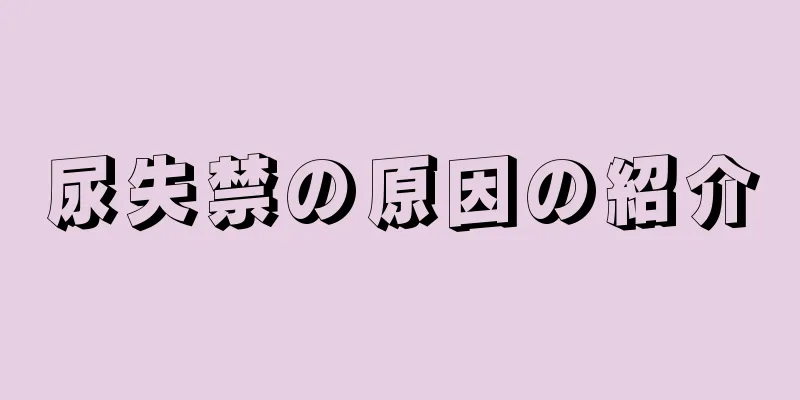 尿失禁の原因の紹介