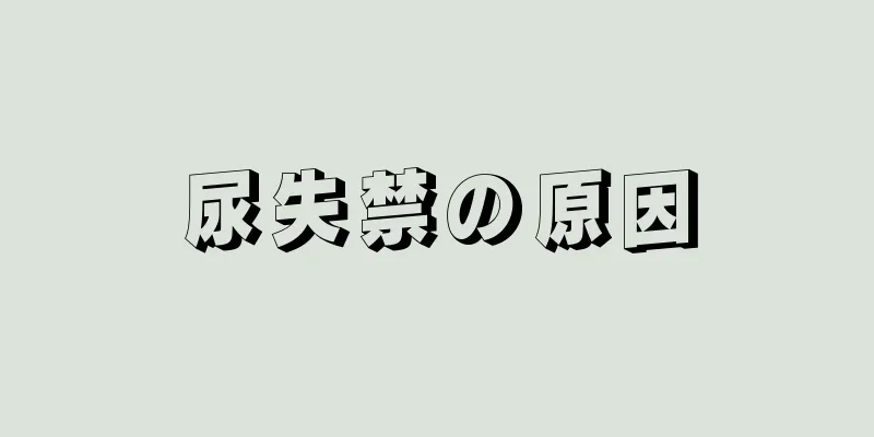 尿失禁の原因