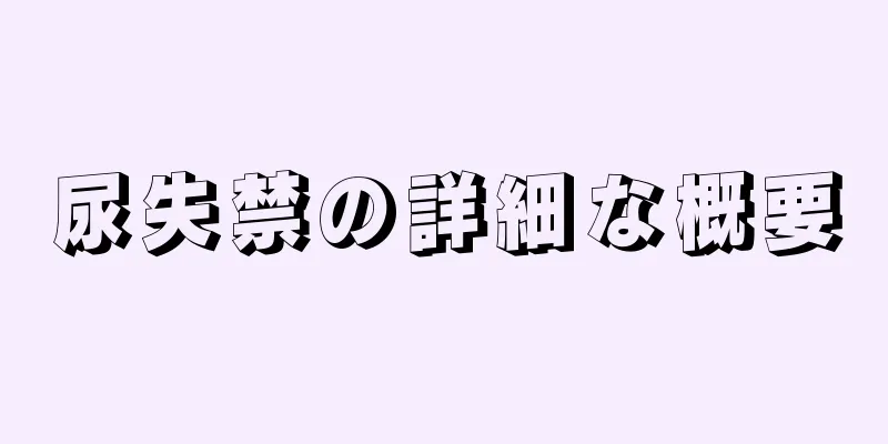 尿失禁の詳細な概要