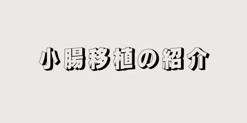 小腸移植の紹介