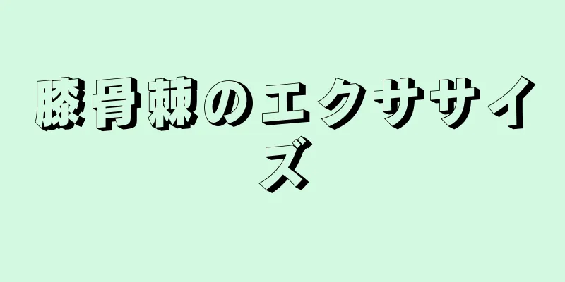 膝骨棘のエクササイズ