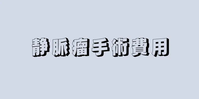 静脈瘤手術費用