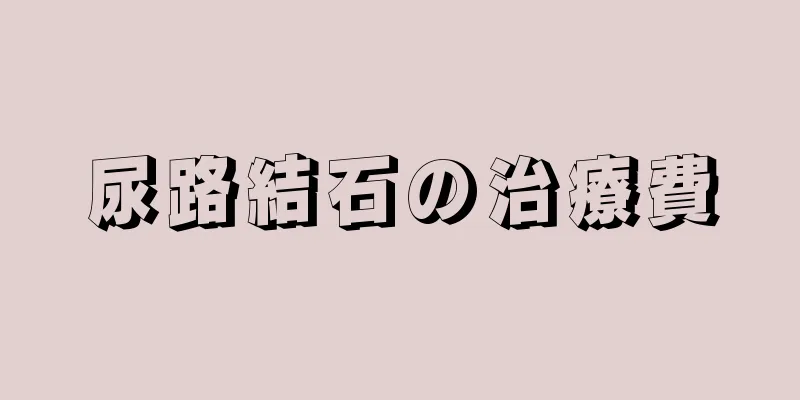 尿路結石の治療費
