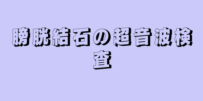 膀胱結石の超音波検査