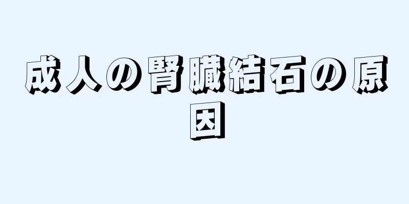 成人の腎臓結石の原因