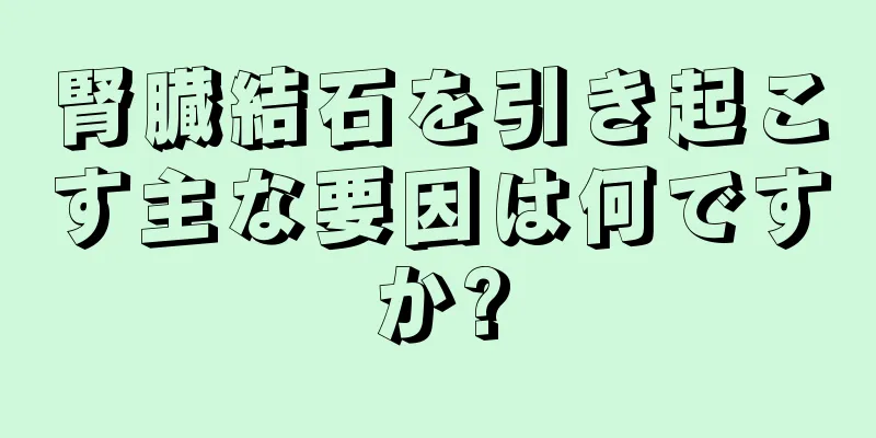 腎臓結石を引き起こす主な要因は何ですか?