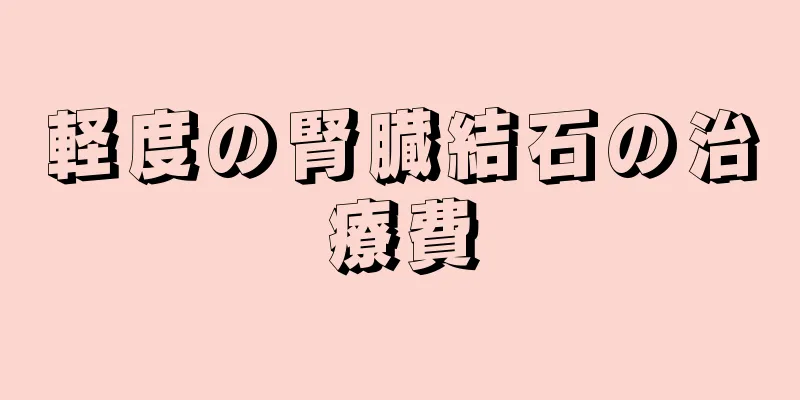 軽度の腎臓結石の治療費