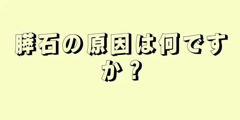 膵石の原因は何ですか？