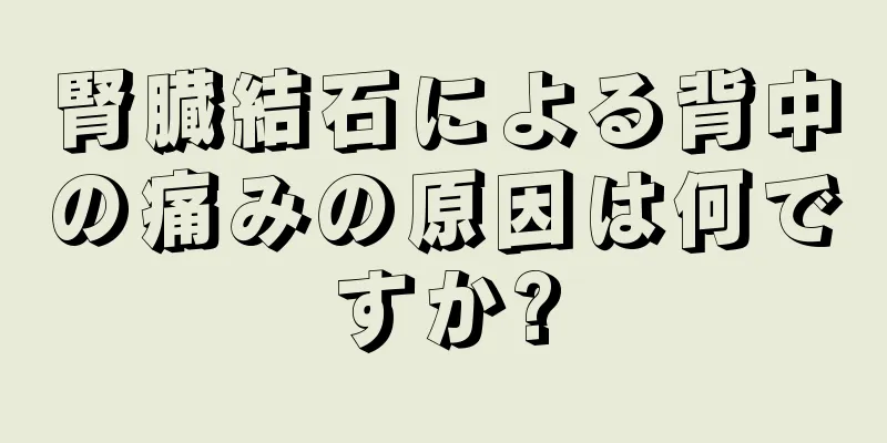 腎臓結石による背中の痛みの原因は何ですか?