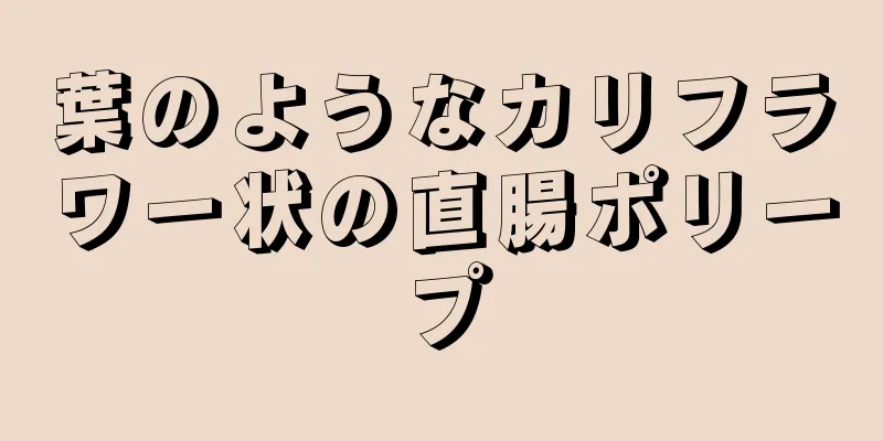 葉のようなカリフラワー状の直腸ポリープ