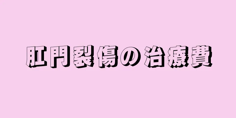 肛門裂傷の治療費