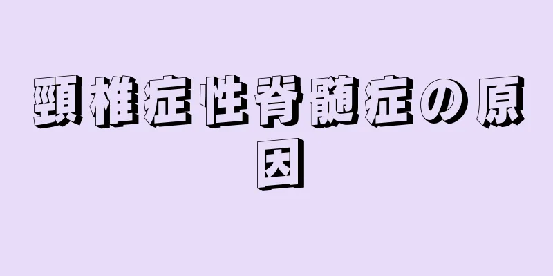 頸椎症性脊髄症の原因