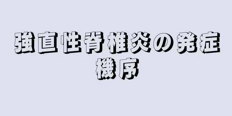 強直性脊椎炎の発症機序