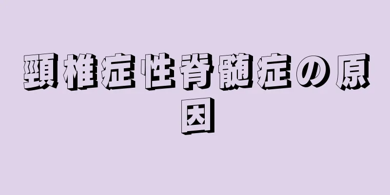 頸椎症性脊髄症の原因
