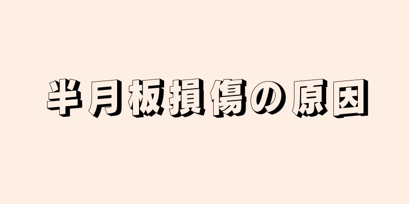 半月板損傷の原因