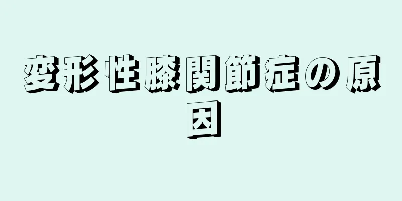 変形性膝関節症の原因