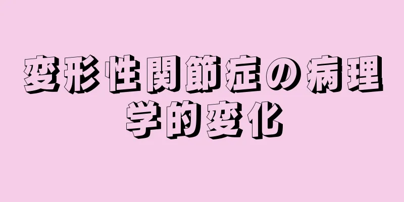 変形性関節症の病理学的変化