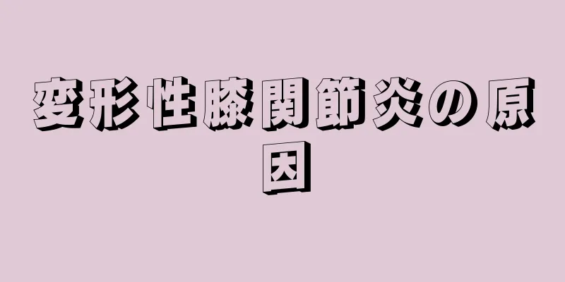 変形性膝関節炎の原因