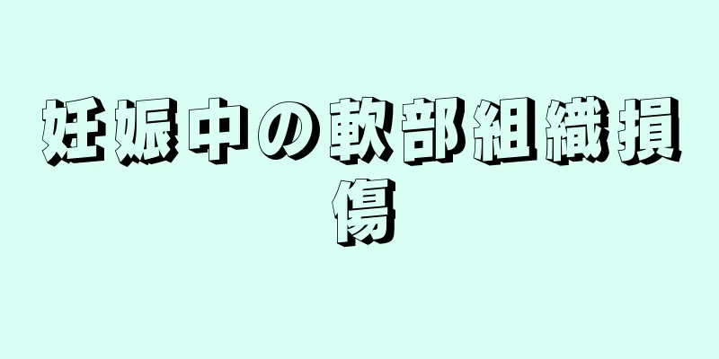 妊娠中の軟部組織損傷