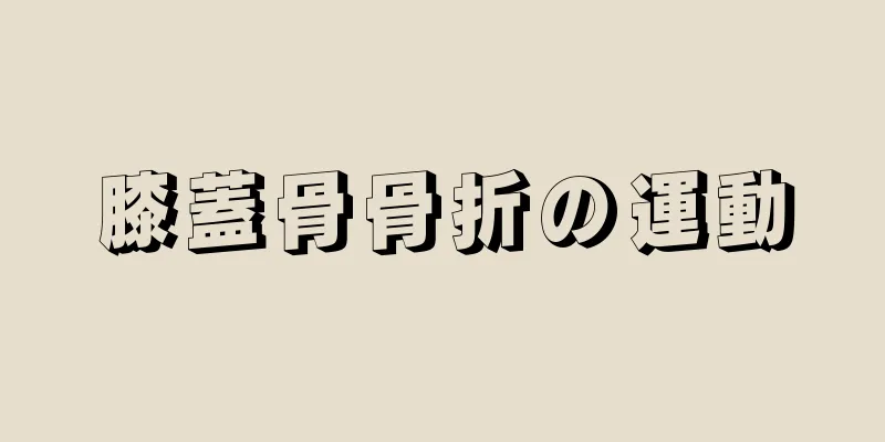 膝蓋骨骨折の運動