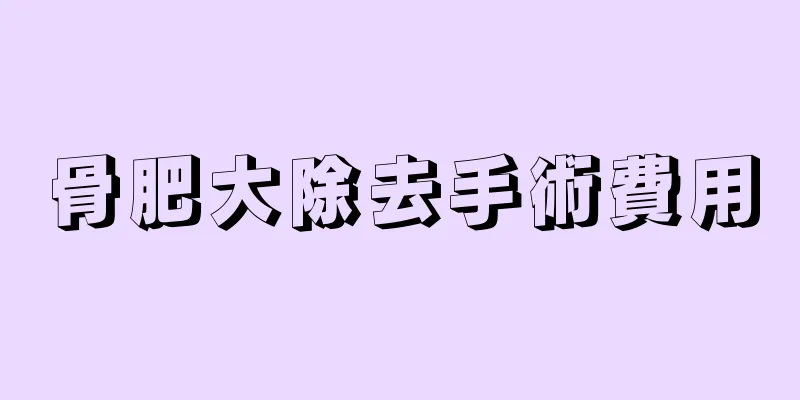 骨肥大除去手術費用