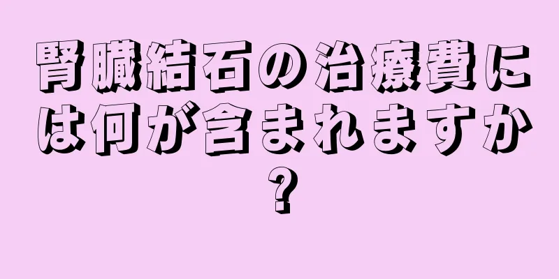 腎臓結石の治療費には何が含まれますか?