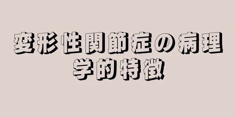 変形性関節症の病理学的特徴