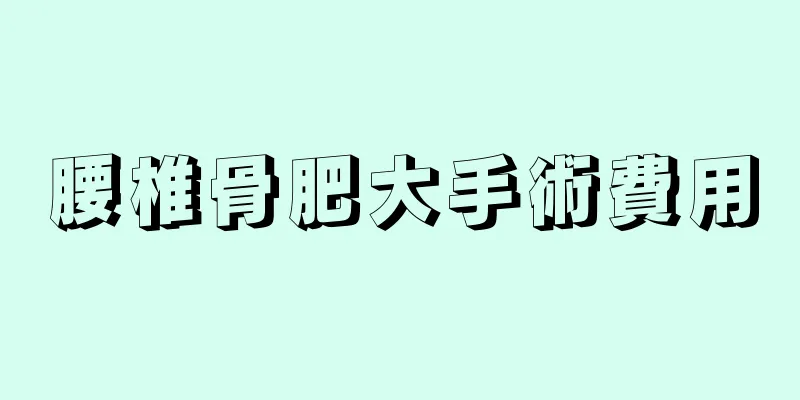 腰椎骨肥大手術費用