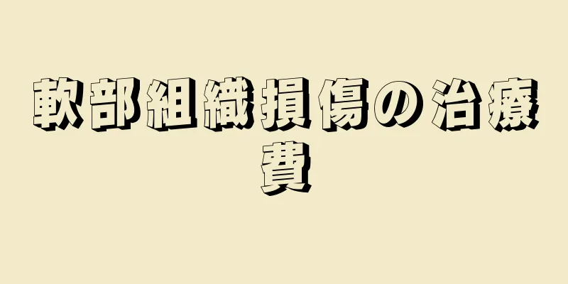 軟部組織損傷の治療費