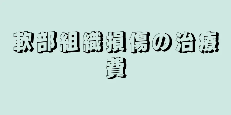 軟部組織損傷の治療費