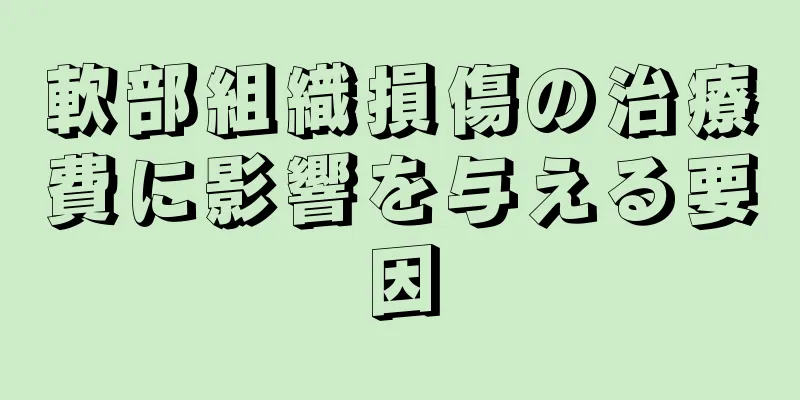 軟部組織損傷の治療費に影響を与える要因
