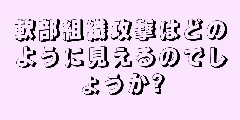 軟部組織攻撃はどのように見えるのでしょうか?