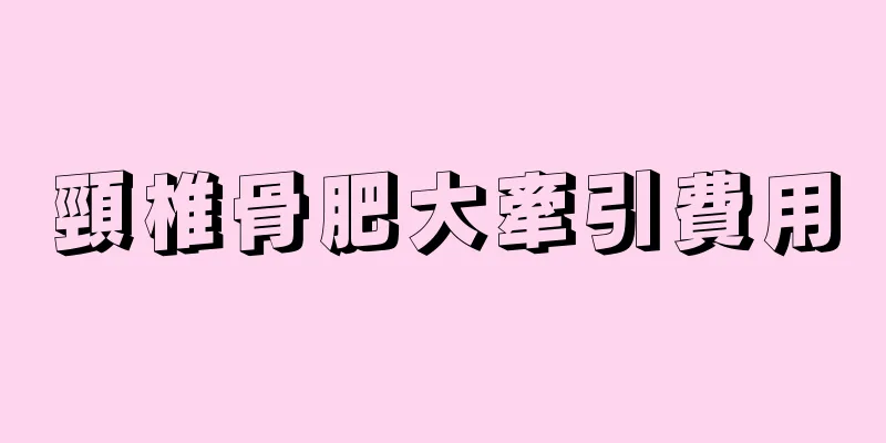 頸椎骨肥大牽引費用