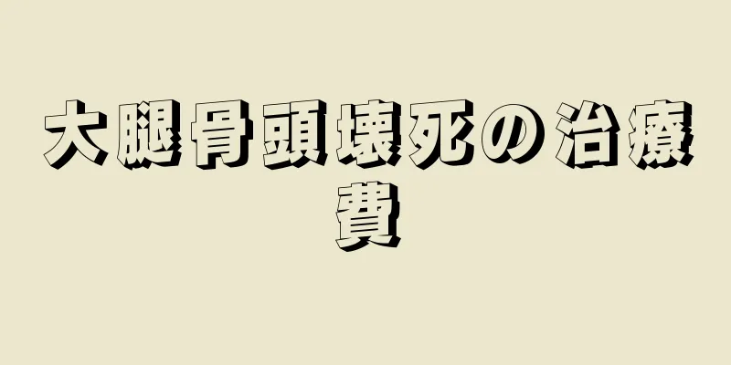 大腿骨頭壊死の治療費