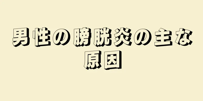 男性の膀胱炎の主な原因