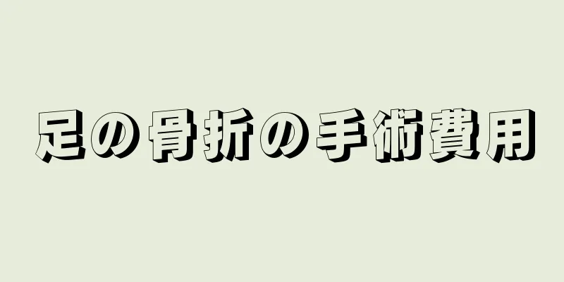 足の骨折の手術費用
