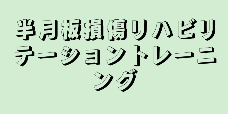 半月板損傷リハビリテーショントレーニング