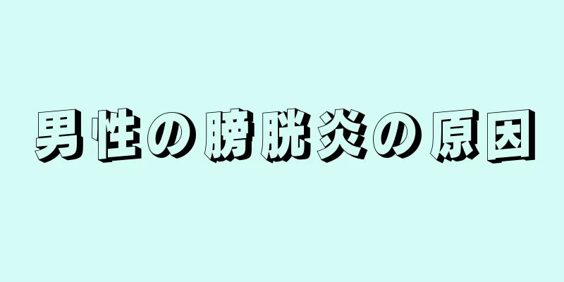 男性の膀胱炎の原因