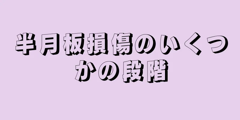 半月板損傷のいくつかの段階