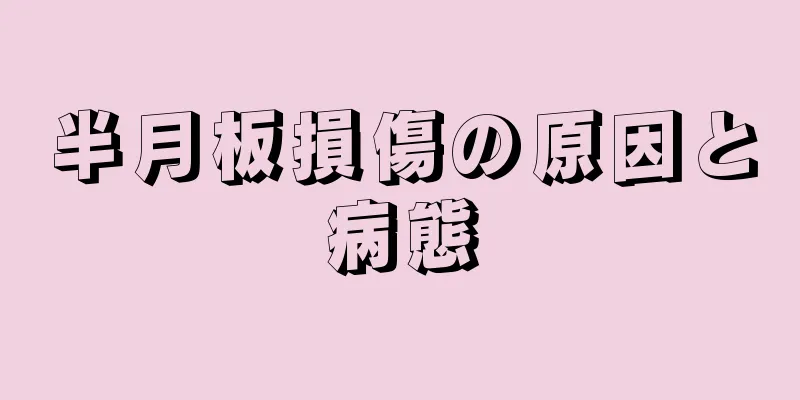 半月板損傷の原因と病態