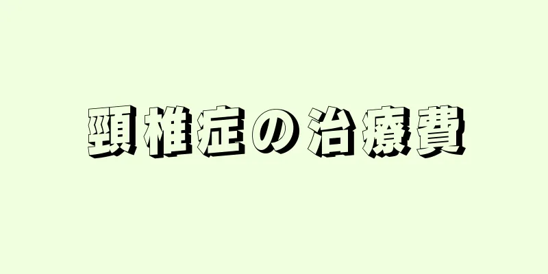 頸椎症の治療費
