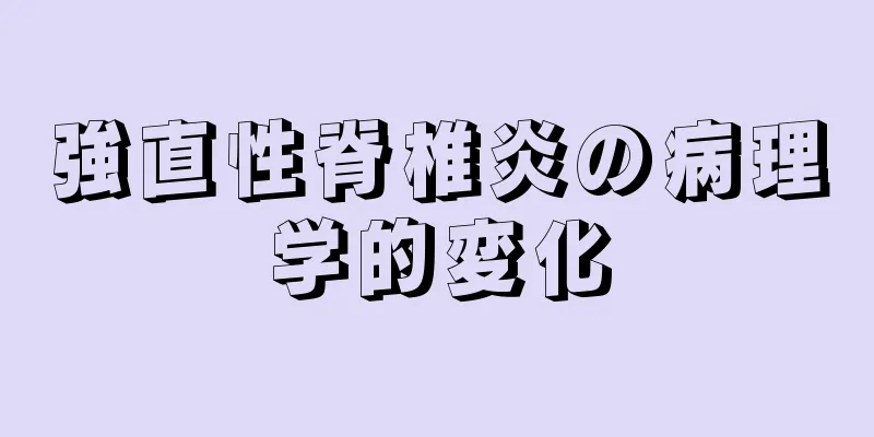 強直性脊椎炎の病理学的変化