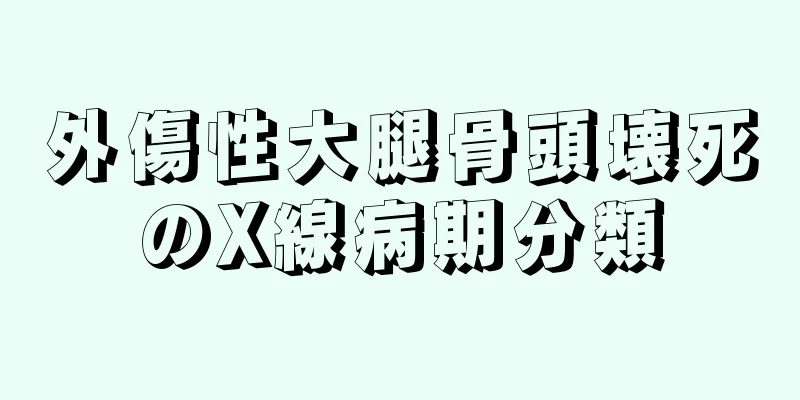 外傷性大腿骨頭壊死のX線病期分類