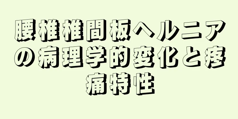 腰椎椎間板ヘルニアの病理学的変化と疼痛特性