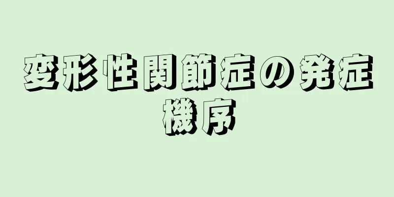 変形性関節症の発症機序