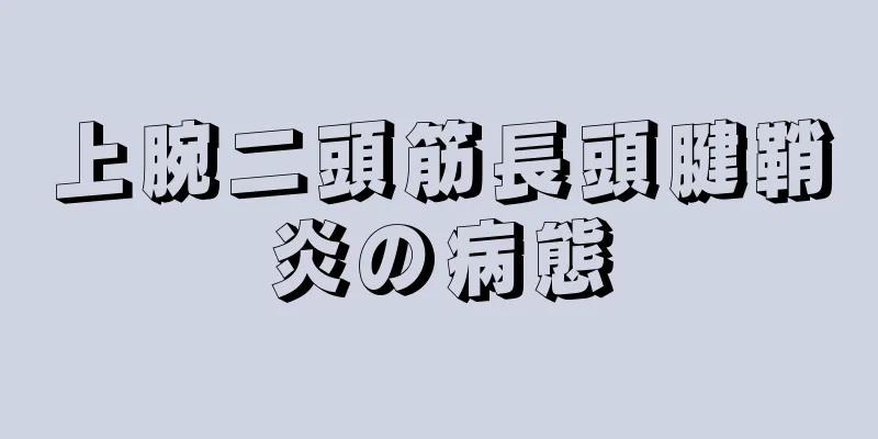 上腕二頭筋長頭腱鞘炎の病態
