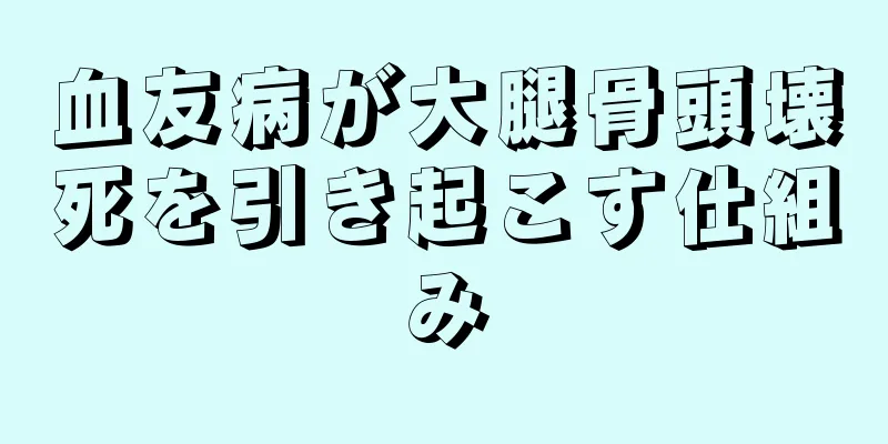 血友病が大腿骨頭壊死を引き起こす仕組み