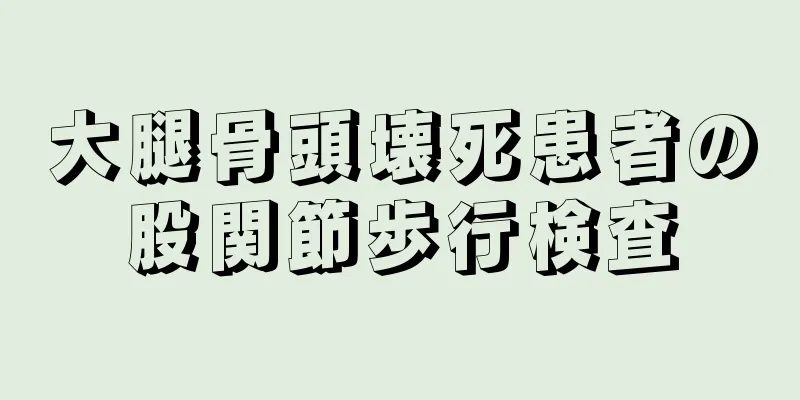 大腿骨頭壊死患者の股関節歩行検査